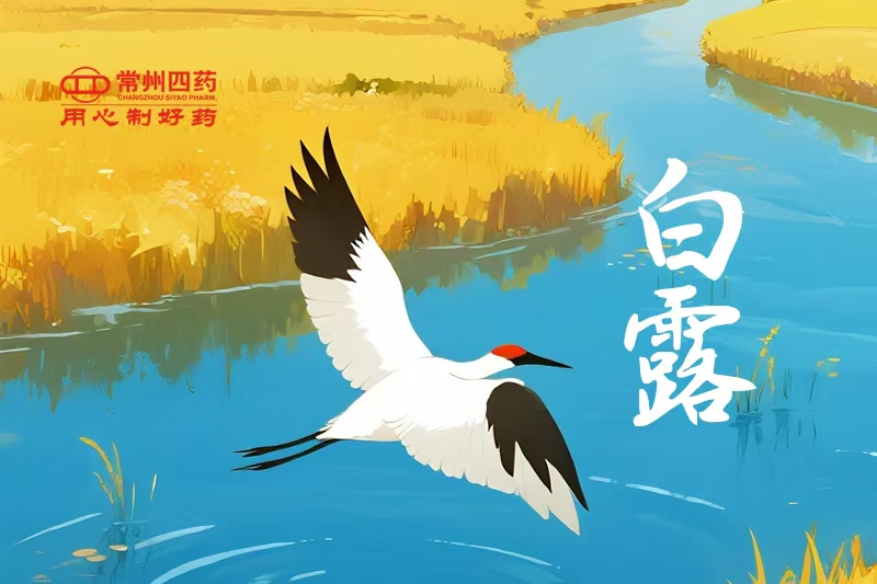 今日白露 | 一夜涼一夜，鴻雁南歸時(shí)